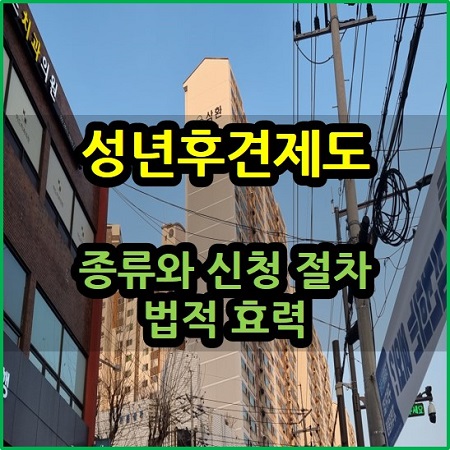  성년후견제도 종류 신청 절차 법적 효력