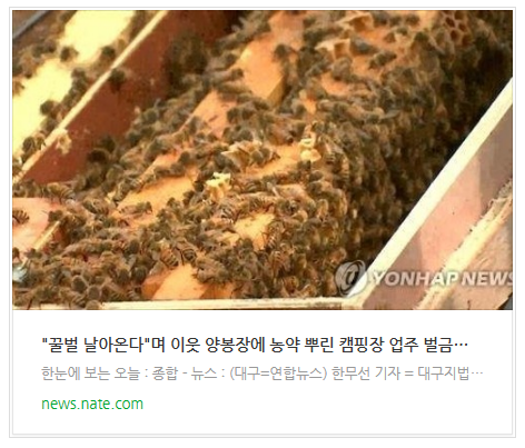 "꿀벌 날아온다"며 이웃 양봉장에 농약 뿌린 캠핑장 업주 벌금형