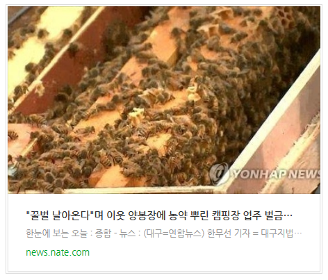 "꿀벌 날아온다"며 이웃 양봉장에 농약 뿌린 캠핑장 업주 벌금형 "꿀벌 날아온다"며 이웃 양봉장에 농약 뿌린 캠핑장 업주 벌금형