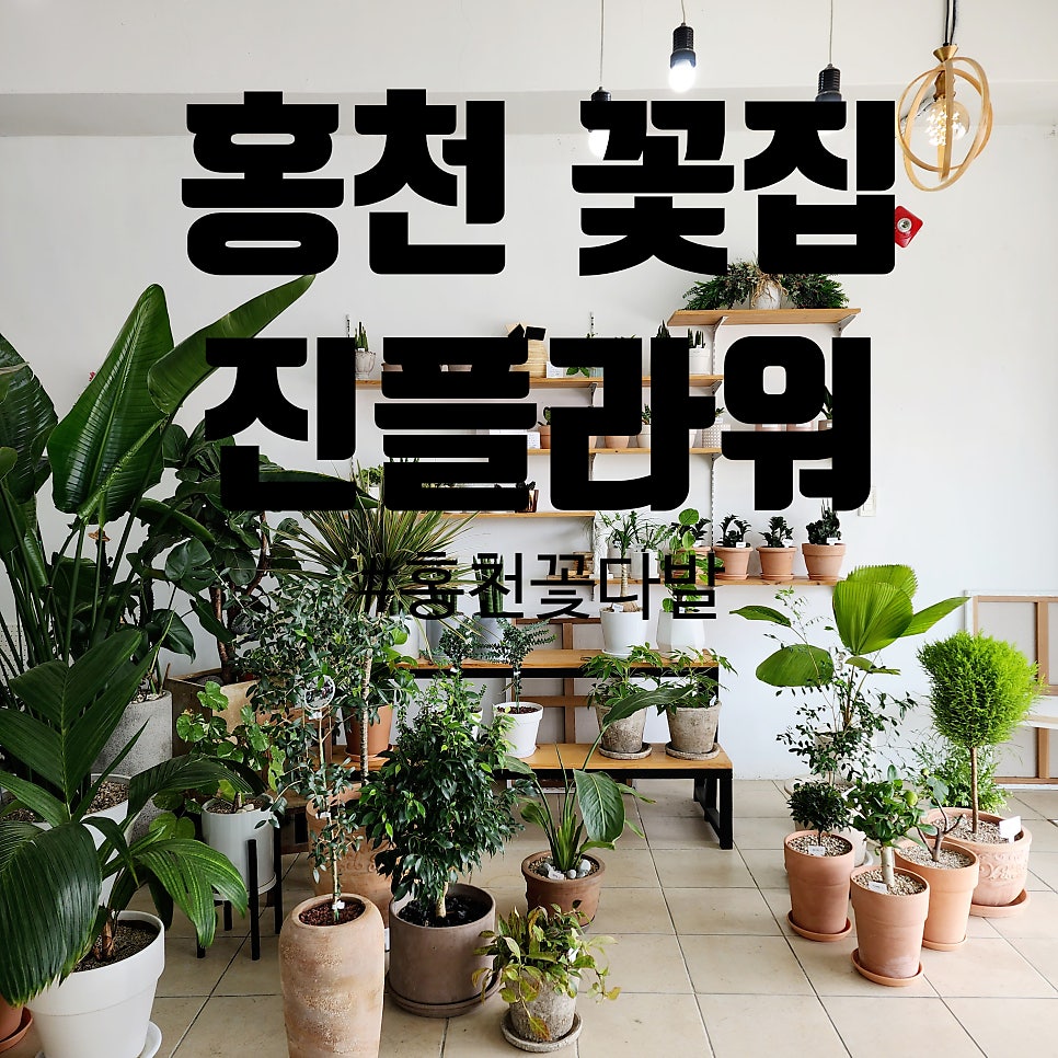 진플라워 사진 1