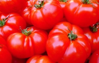 약으로 먹는 토마토 이야기(당뇨,고혈압,야맹증)