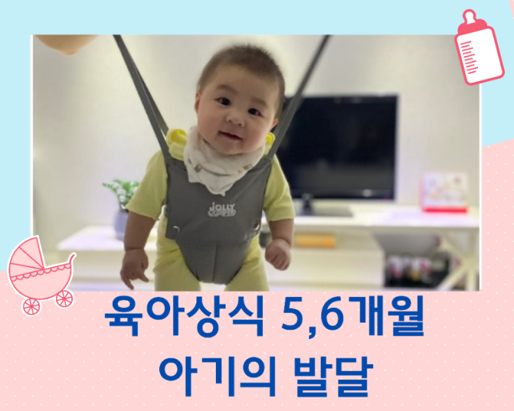 육아상식-아기의 월별 발달과 성장(5개월, 6개월의 성장)