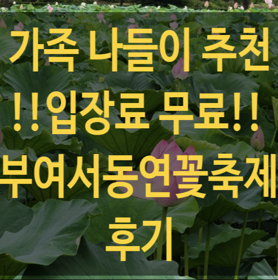  충남 부여 가볼만한곳 부여서동연꽃축제 궁남지 꽃여행다녀왔어요