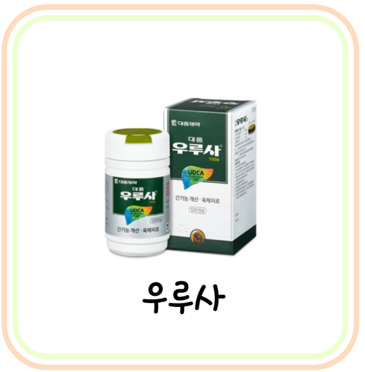  [간기능 개선제] 우루사 가격과 효과 및 부작용 (# 간장약 추천, UDCA, 처방)