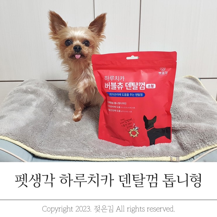 펫생각 노령견간식으로 하루치카 버블츄 덴탈껌 펫생각 노령견간식으로 하루치카 버블츄 덴탈껌