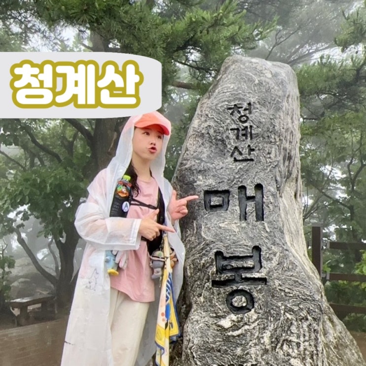  서울 청계산 등산코스 초보 코스추천 등산시간 매봉 최단코스 청계산입구 주차장 가는법