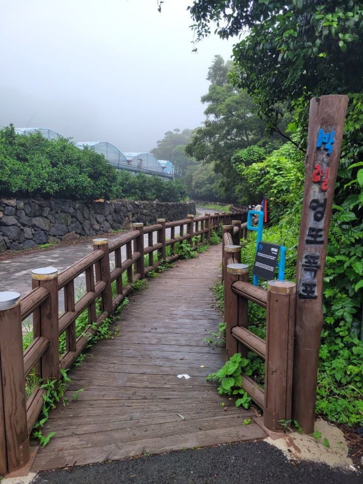  꼭 한번 가볼만한 제주도의 비경 엉또폭포 방문기