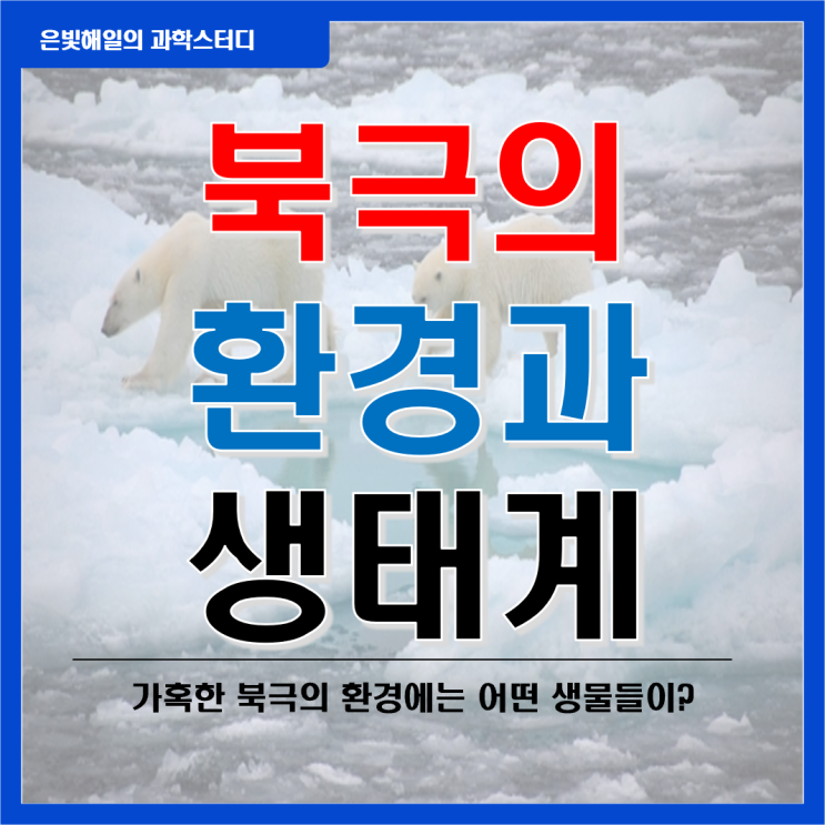  북극의 환경과 생태계