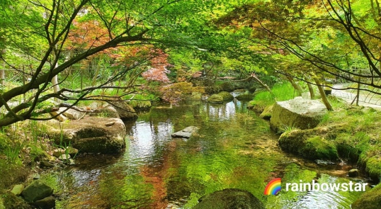  [국내여행] 곤지암리조트에서 산책하고 어린이 놀이터에서 공도 차고 루지까지 재미나게 타기(1)