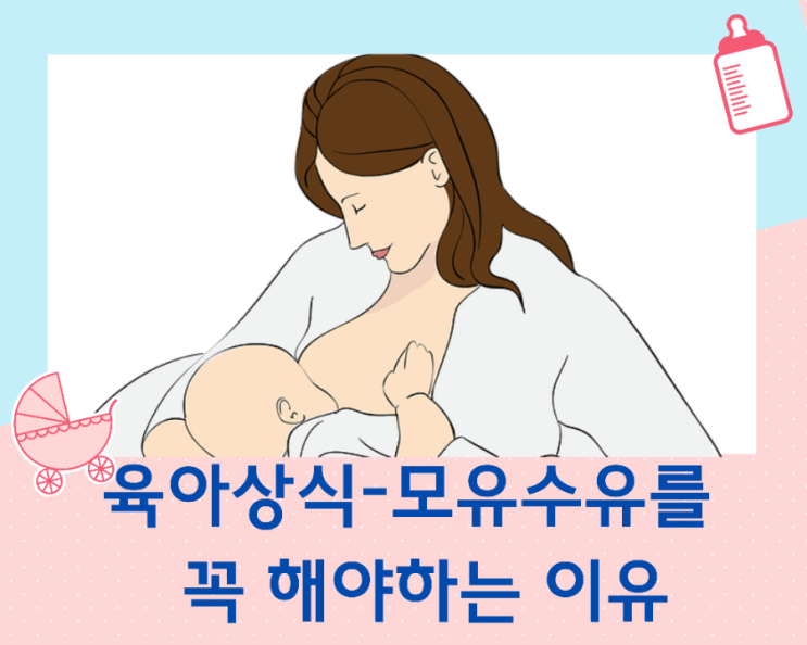  육아상식-모유 수유 꼭 해야 하는 이유. 장점이 너무 많아!