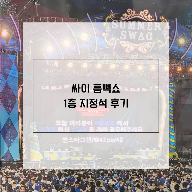  싸이 흠뻑쇼 1층 지정석 후기 ! 흠뻑쇼 준비물
