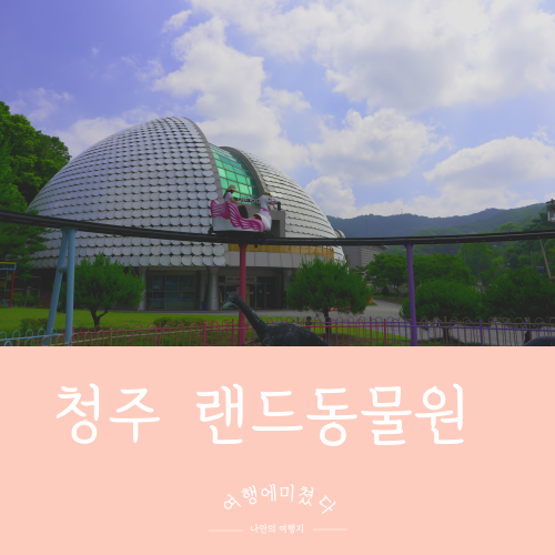  청주랜드 놀이동산 동물원 충북 청주 아이들과가볼만한곳 당일치기여행지
