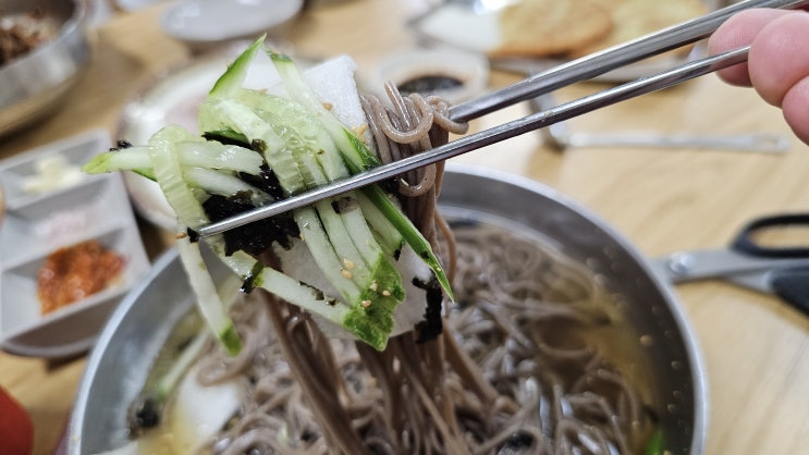  홍천 비발디파크오션월드에서 퇴실날 금수강산 막국수에서 먹방!