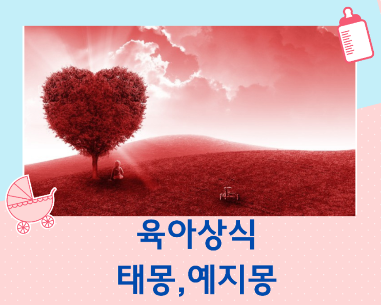  태몽으로 알아보는 성별 아이의 미래 모습(예지몽)