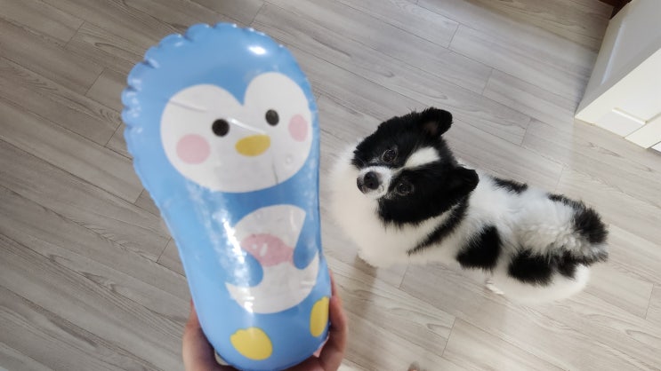 멍멍 펀치를 기대했지만.. 다이소 오뚝이 튜브