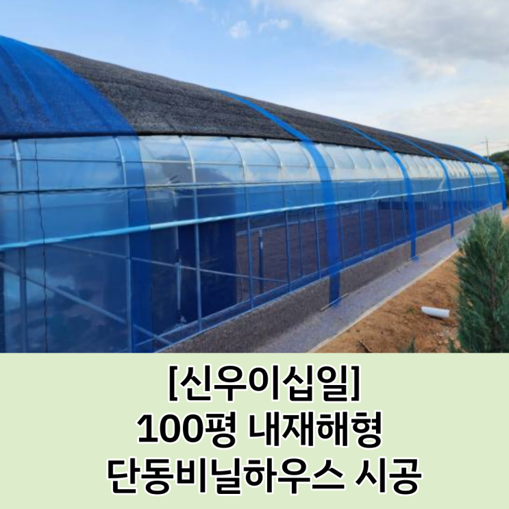  [비닐하우스 보조사업] 화성시 웰빙하우스 보조사업 내재해형 단동하우스 시공사례 / 비닐하우스 단동 시공 / 100평 비닐하우스 시공 / 100평 1형식 단동 하우스 시공사례