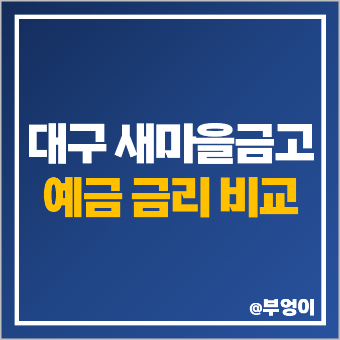 대구 새마을금고 정기예금 금리 비교 : MG 특판 이자 높은 지점 대구 새마을금고 정기예금 금리 비교 : MG 특판 이자 높은 지점