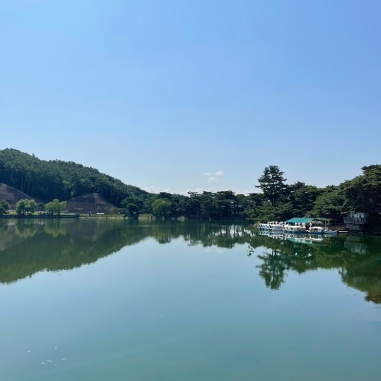  제천 의림지 역사박물관 용추폭포 아이랑 신나게~