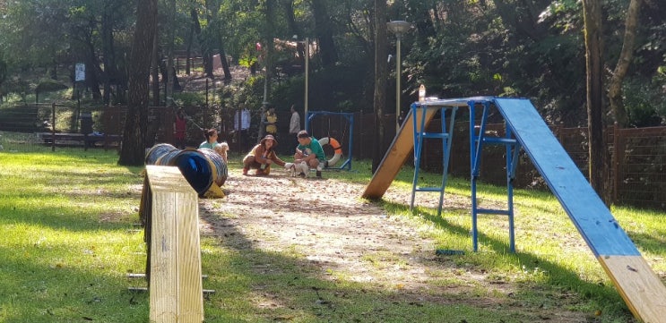 올여름은 반려견과 휴양림에서 시원하게 올여름은 반려견과 휴양림에서 시원하게