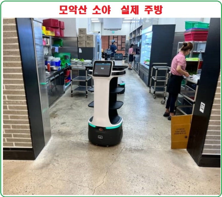  KT AI 서빙로봇으로 매장 운영 효율성과 직원 복지 향상하기