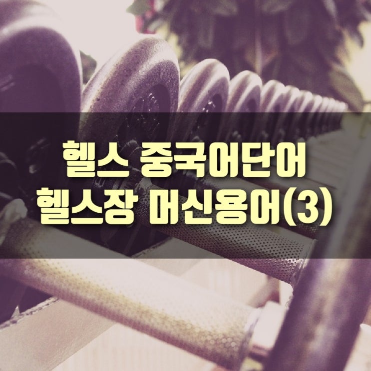  [중국어공부] 헬스기구는 중국어로?, 헬스기구 용어(3)
