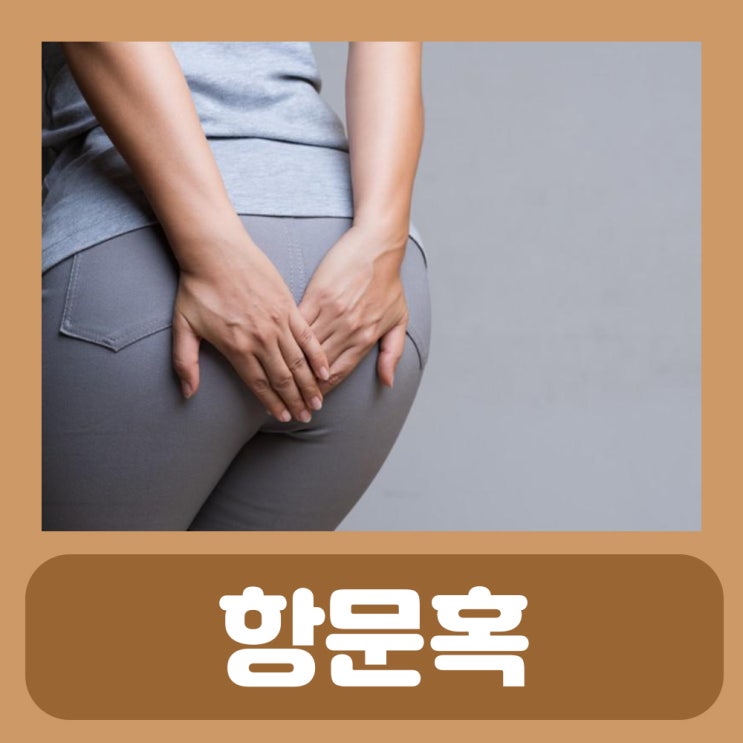  항문혹 항문 피부꼬리 췌피 뾰루지 종기 : 내지핵 혈전성 외치핵 증상