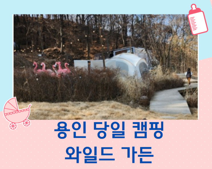  용인 아이와 가볼 만한 곳 와일드 가든 당일 캠핑장