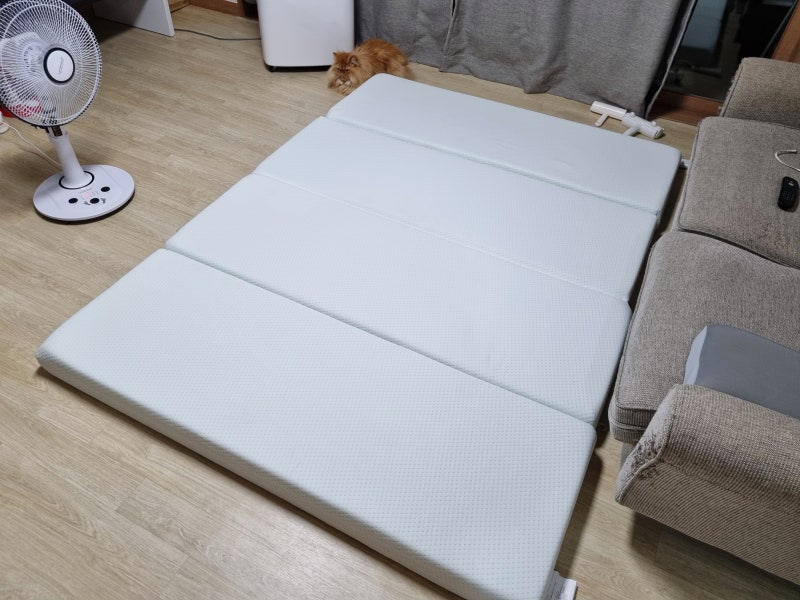 지누스 접이식 토퍼 그린티 4단 메모리폼 10cm 퀸 내돈내산 솔직 후기