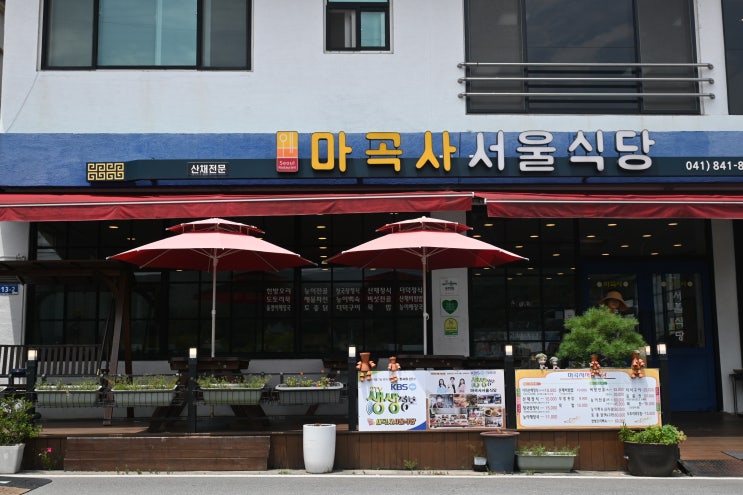 공주 마곡사 맛집 소개! 더덕산채정식 맛집 마곡사서울식당