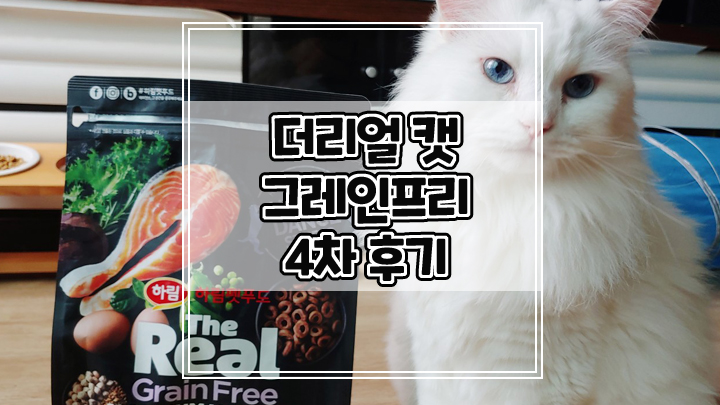  하림펫푸드 더리얼 그레인프리 사료 마지막 4차 후기