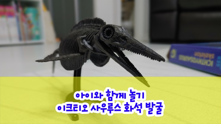 Sea Monsters Excavation Kit: Ichthyosaurus Skeleton 이크티오 사우루스 화석 발굴 놀이