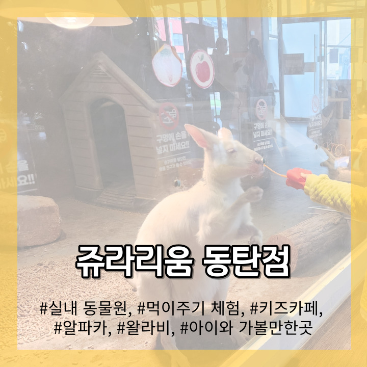  도심 속 실내 동물원 쥬라리움 동탄 아이와 가볼 만한 곳