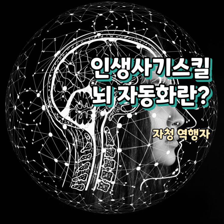  뇌 최적화 22전략으로 뇌를 자동화 하기(자청 역행자)