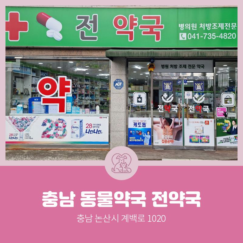 전약국 사진 3