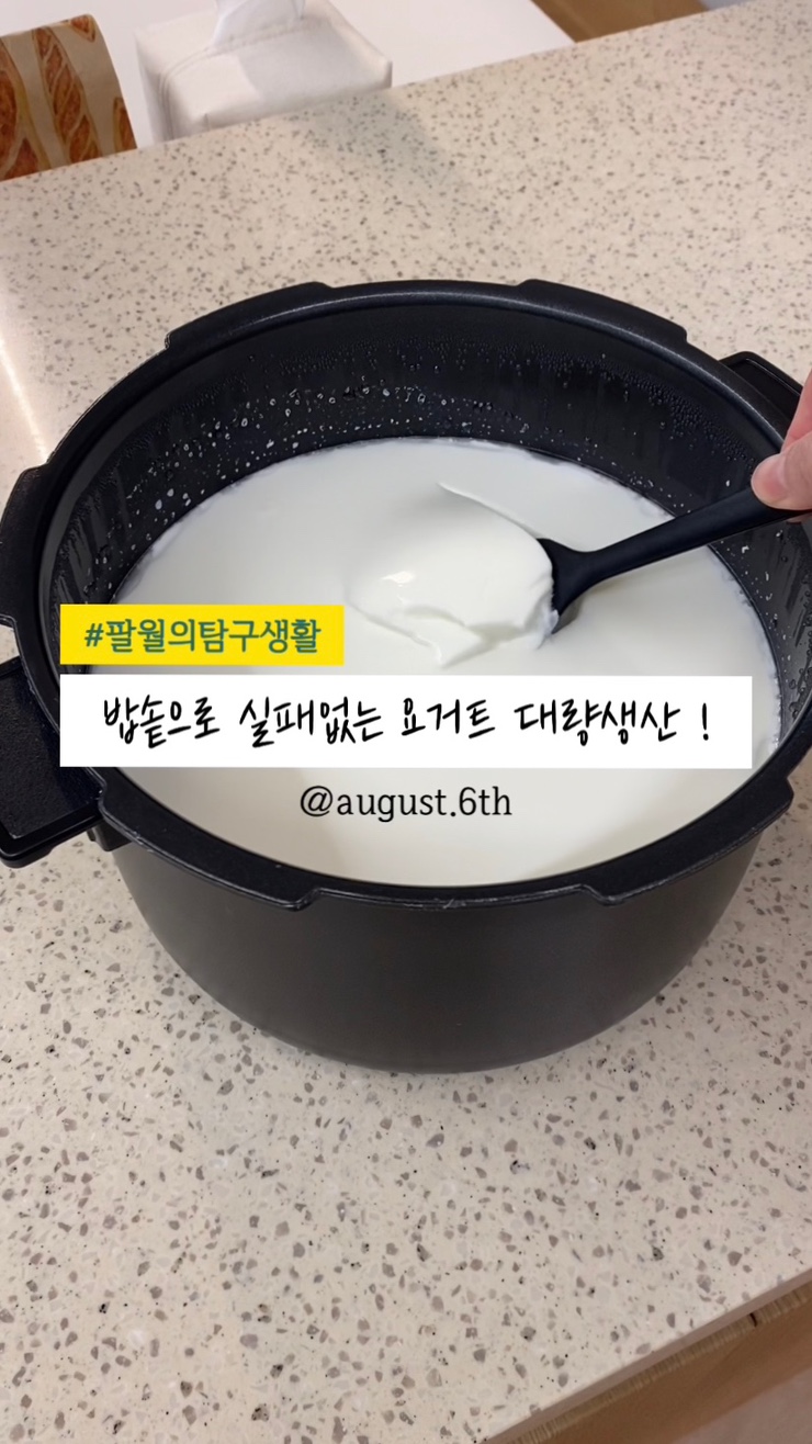  전기밥솥으로 만드는 실패 없는 수제 요거트 레시피