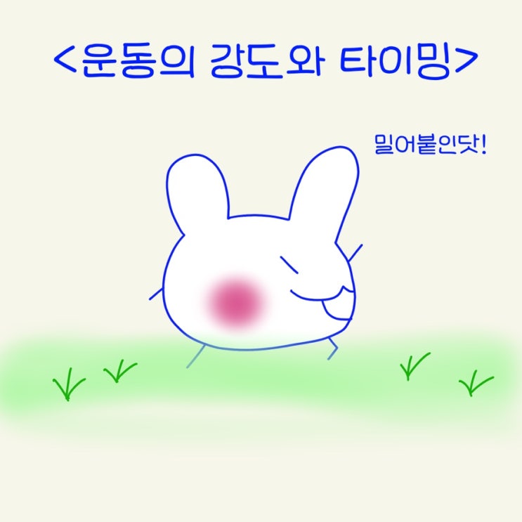  운동 강도의 타이밍은 어떻게 조절할까? (중급자)