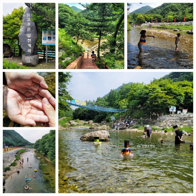 (전국 자연휴양림 옥천 2) 장령산자연휴양림 계곡 물놀이! 옥천 금천계곡 즐기기 ft. 출렁다리와 어린이놀이터 (전국 자연휴양림 옥천 2) 장령산자연휴양림 계곡 물놀이! 옥천 금천계곡 즐기기 ft. 출렁다리와 어린이놀이터