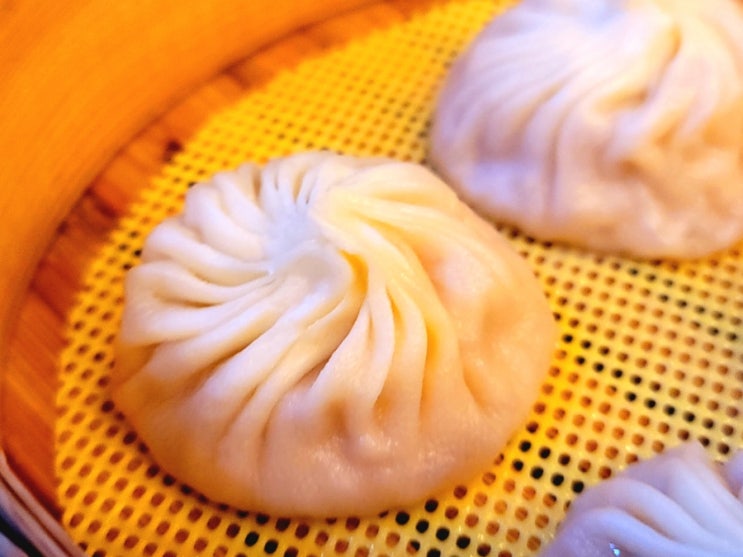  세종정부청사맛집 세종시 연화섬 방문후기