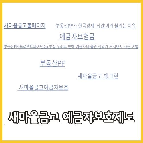  새마을금고 예금자보호제도