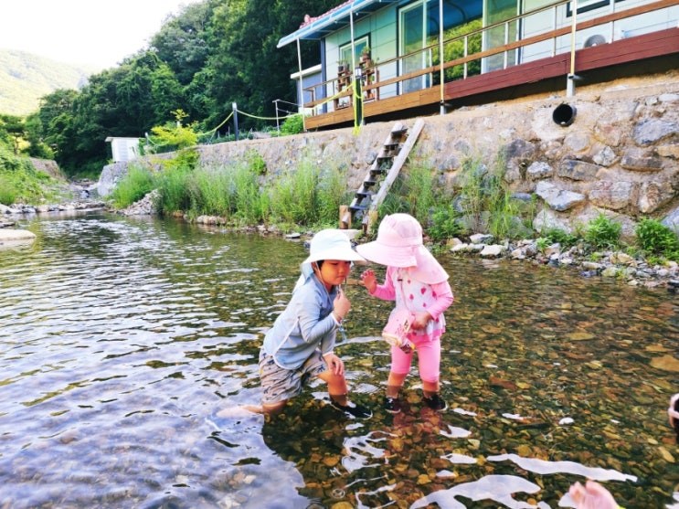  울산 계곡 독채 펜션 계곡 평상에서 놀수있는 달보드레