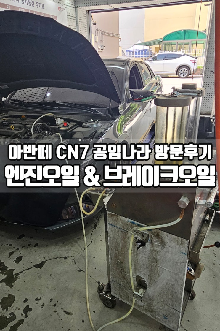 아반떼 CN7 엔진오일 & 브레이크오일 교환 (블루핸즈 vs 공임나라)