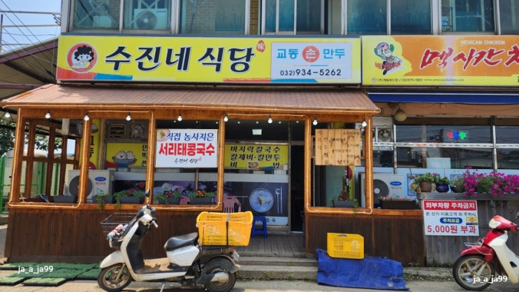  [당일여행] 강화 교동도 투어