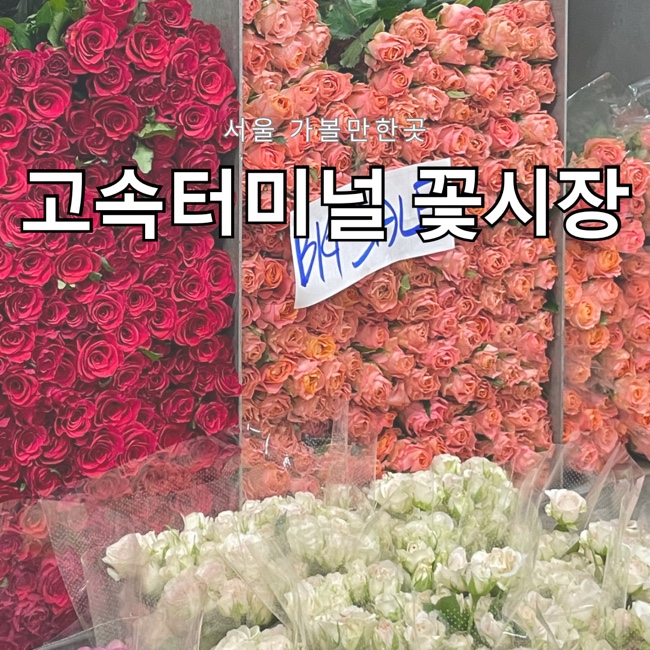  서울 가볼만한곳 고속터미널 꽃시장 영업시간 및 주차 하계휴가 휴무일