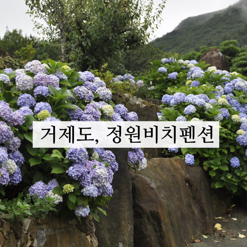 사진 6