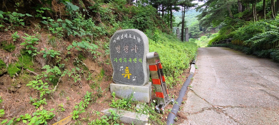 검은애산 사진 4