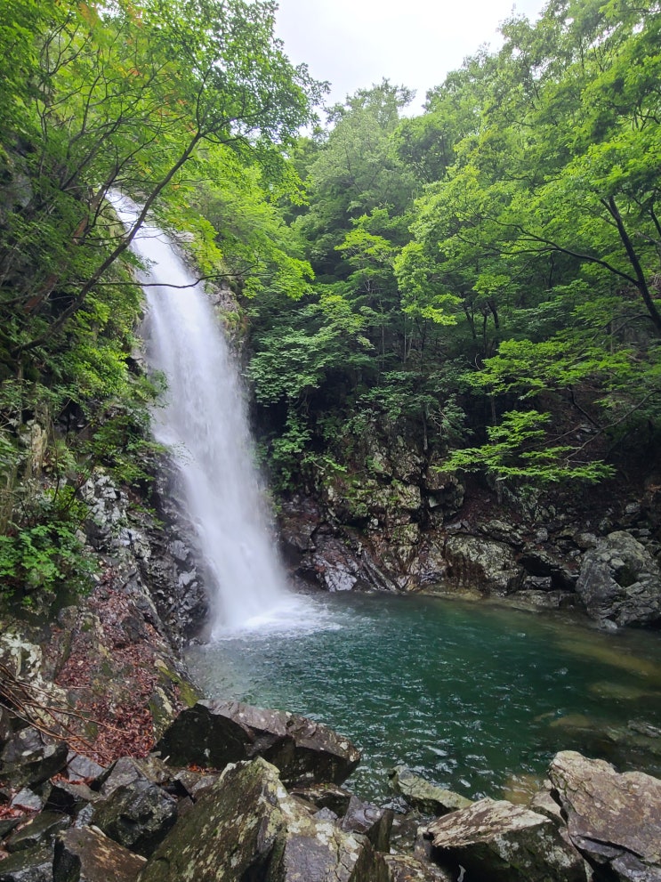  천문사-나선폭포-삼계봉-배넘이재-학소대폭포-배넘이재-천문사 2023/07/08
