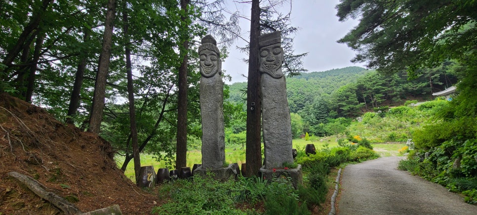 검은애산 사진 5