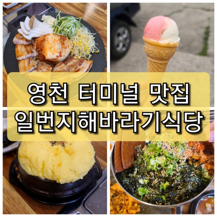  경북 영천 시외버스터미널 철판 삼겹살 맛집 "일번지 해바라기 식당"