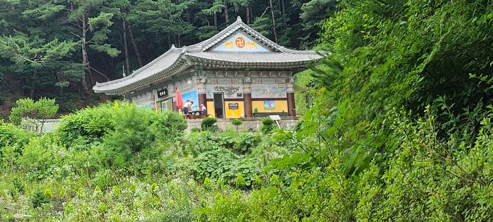 검은애산 사진 6