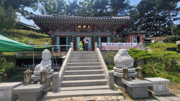  [독산성,용주사] 6살 아이와 대벌레 잡으러 출발!